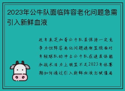 2023年公牛队面临阵容老化问题急需引入新鲜血液