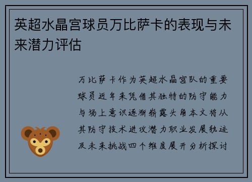 英超水晶宫球员万比萨卡的表现与未来潜力评估